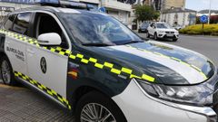 Una dotaci�n de la Guardia Civil de Tr�fico tambi�n fue movilizado, pero finalmente no fue necesaria su presencia al ser una falsa alarma y dar aviso el GES de A Pontenova