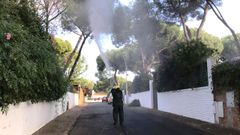 Un operario fumiga en una calle de Alcal� de Guadaira