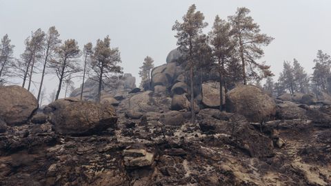 Incendio en Trives y Manzaneda