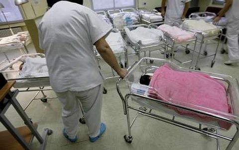 Beb�s en una maternidad
