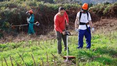 Un profesor y alumnos del IES de Mugardos del ciclo de jardinera y floristera, en una clase prctica este lunes por la maana