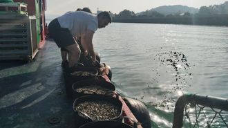 La siembra de almeja dejar� de hacerse a mano en la r�a de Pontevedra con un sistema nuevo m�s mecanizado