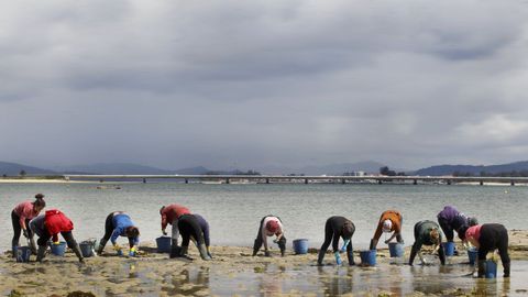 Mariscadoras a pue en la entrada de Carreir&oacute;n