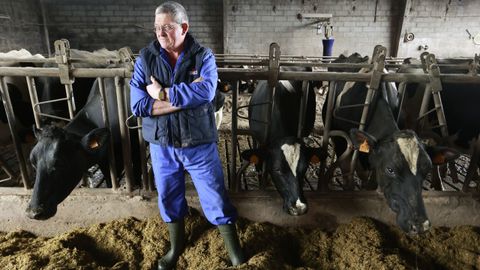 Mueren 65 vacas en una ganader�a de Xermade por causas desconocidas