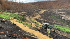 Los trabajos de proteccin de los suelos se realizan en reas seleccionadas por tcnicos del Centro Forestal de Lourizn