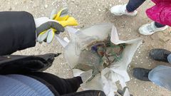 Algunos residuos retirados