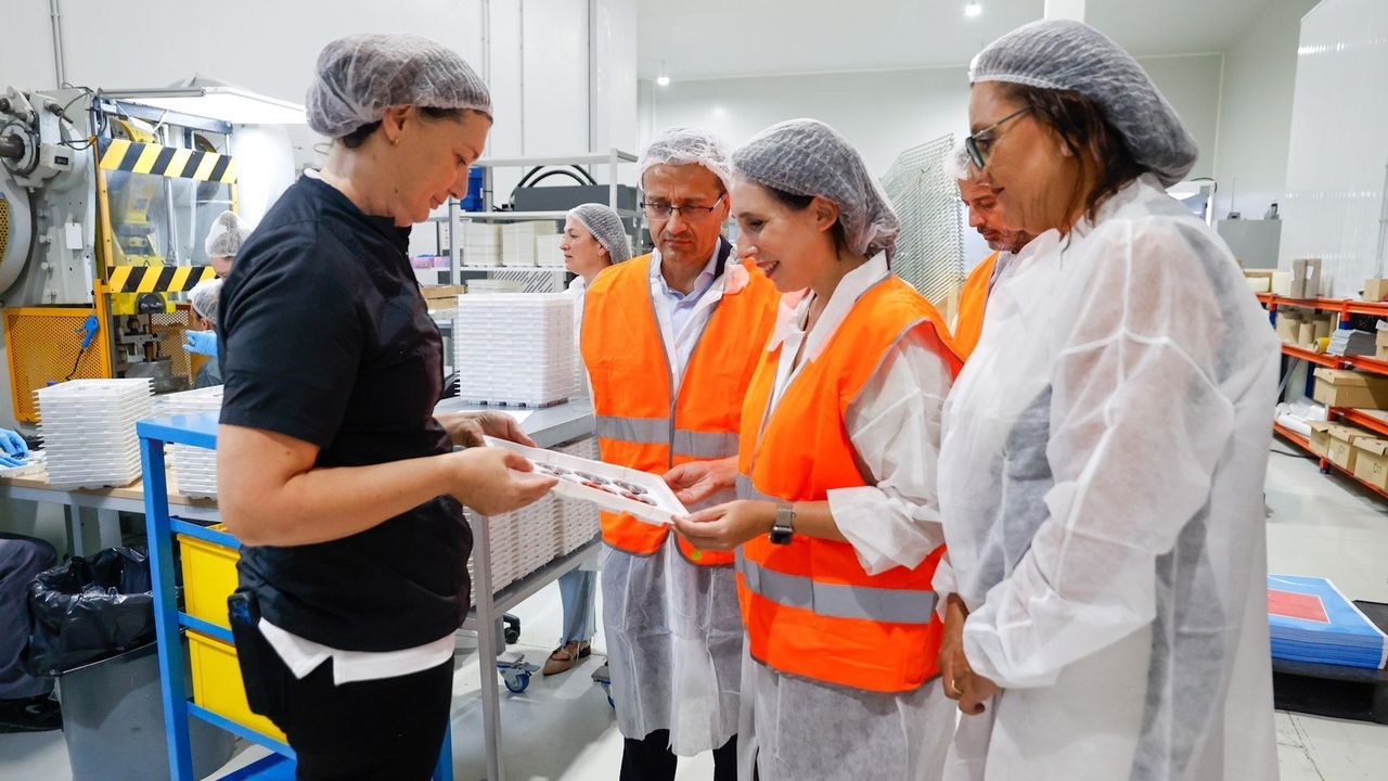 La Xunta abre el día 29 el plazo para que las empresas de automoción pidan subvención