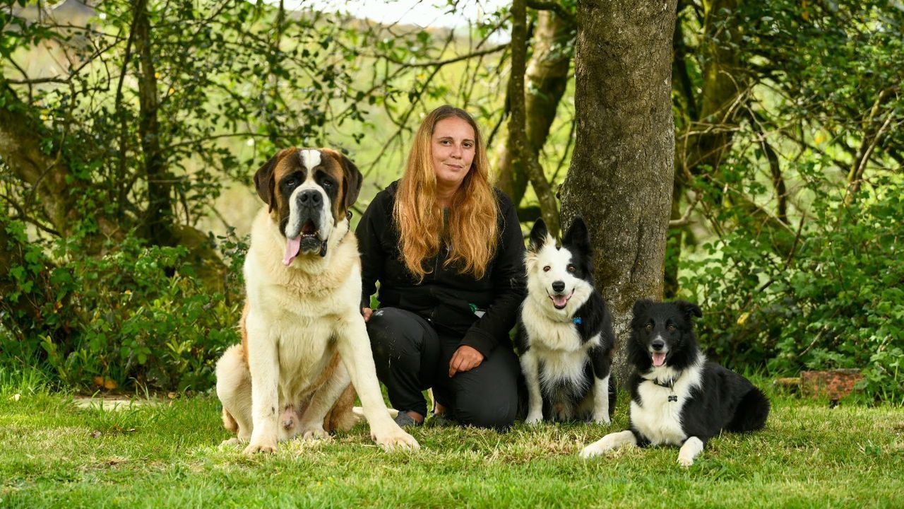 Mónica Giadás, entrenadora canina: «Es fundamental escoger el perro que se adapte a nuestro estilo de vida»