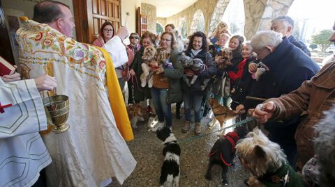 Bendici�n de mascotas en la iglesia de Campolongo