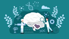 El 24 de mayo es el D�a Nacional de la Epilepsia, una enfemedad que afectar� en alg�n momento de su vida al 3 % de la poblaci�n espa�ola.