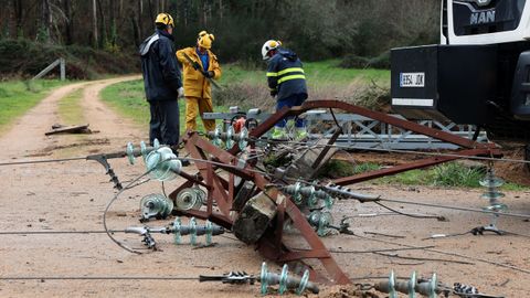 Un pino derrib� la linea de media tensi�n en Meis