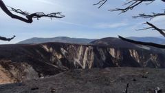 As� han quedado las fincas del gallego Aladino Barros tras ser v�ctimas del fuego en Allande