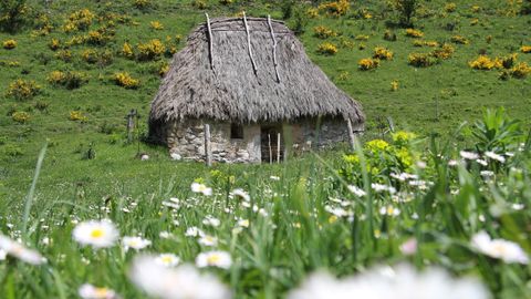 Cabana de teito en valle de Lago