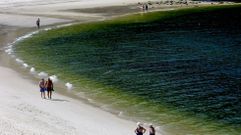 Aspecto de la playa de Mogor, en Marn, durante un episodio de proliferacin de una microalga del gnero Lepidodinium