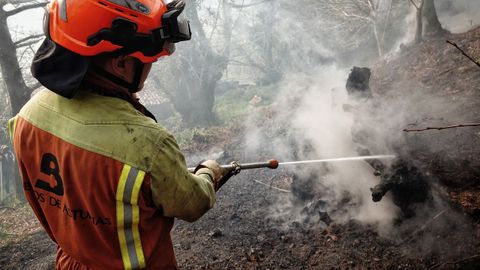 Bomberos de Asturias trabajan para extinguir las llamas en un incendio forestal