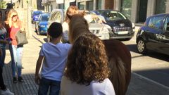Polic�a y Guardia Civil se llevan un caballo que se paseaba suelto en Milladoiro