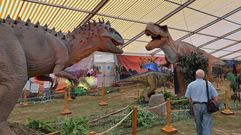 Dinosauria Experience llega a O Barco.