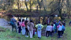 Uno de los grupos de escolares en la senda del Almofrei, en Pontevedra