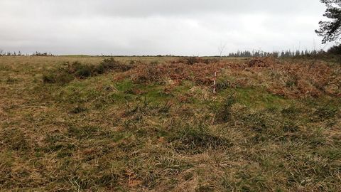 Os tmulos funerarios estn na Serra do Raadoiro de Baralla