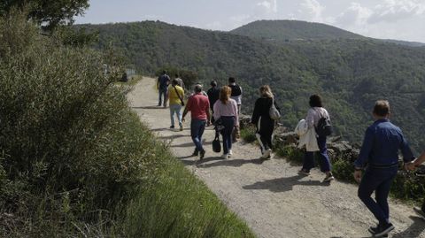 Los suscriptores conocieron el paisaje de vi�as en bancales de Abeleda