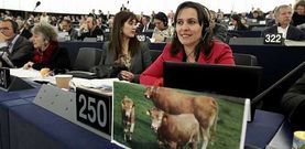 La eurodiputada del BNG, Ana Miranda, ayer en el Parlamento de Estrasburgo durante la votaci�n de la nueva pol�tica agraria com�n.