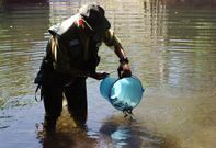 Suelta de alevines en un tramo del coto del Cabe, en una imagen de archivo. 