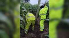 Dos de los trabajadores de esta empresa instalando fibra ptica