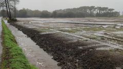 Las primeras lluvias del oto�o anegaron los campos de Mazaricos