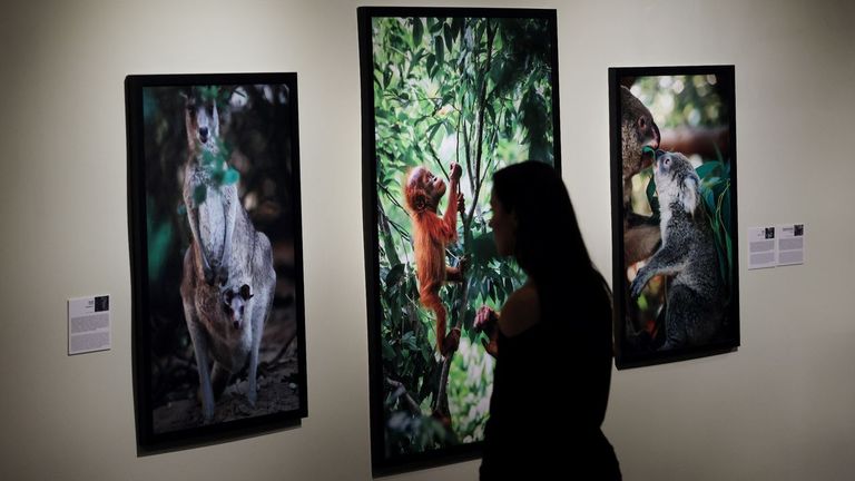 La muestra �Madre m�a! se puede visitar hasta el 20 de junio
