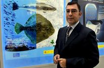 Dom�nguez asegur� que habr� una f�rmula para que Galicia pueda pescar su parte de xarda.