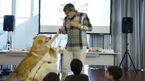 El curso se celebr� en el �gora