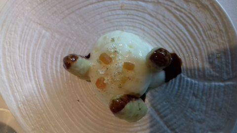 Esp�rragos, botarga, sa�co, helado de verduras y pur� de coliflor.