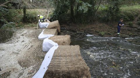 Trabajos este jueves en el Leng�elle, poco antes de A Pontraga (Ordes): aspiraci�n del pur�n retenido por la barrera anticontaminaci�n y toma de muestras del agua