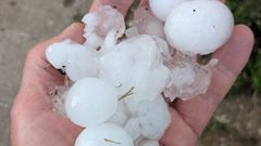 Bolas de hielo de la granizada en Tapia