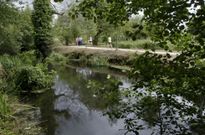 Vista del r�o Anll�ns, ayer, a su paso por Carballo, en el Bosque do A��n.