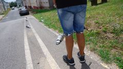 Bolardos tirados en el camino peatonal