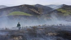 El fuerte viento hizo que el fuego se extendiese rpidamente por todo el valle del ro Eo, en Baleira.