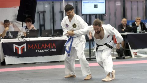 Campeonato gallego de hapkido en el Pabell�n de Barra�a