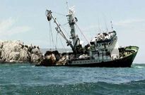 El atunero gallego embarranc� en el parque natural m�s peque�o del mundo.