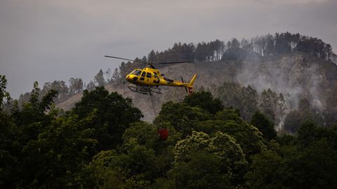 Labores de extinci�n del incendio forestal de Grado