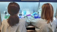 Proceso de fabricaci�n de terapias CAR-T