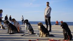 Adrián Paredes, adiestrador canino en Candamin, en Cambre. 