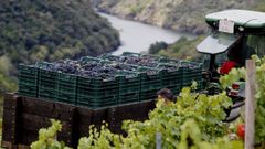 Las ayudas podr�n solicitarse hasta el pr�ximo 30 de enero