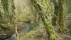 Im�genes de la ruta del r�o Cinsa