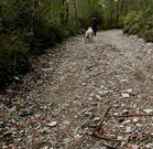 <span lang= es-es >Agualada (Coristanco)</span>. La pista de acceso al �rea recreativa est� pavimentada de escombros y pl�sticos.