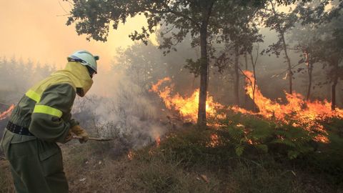 Incendio forestal