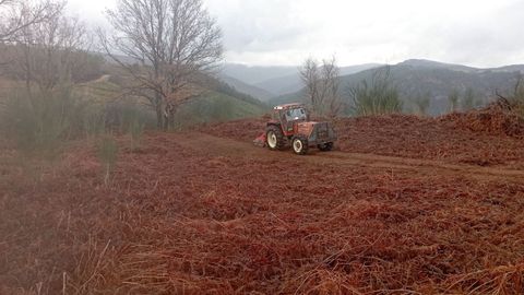 Tractor realizando tareas de desbroce en una foto de archivo
