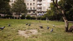 Una de las partidas aprobadas permitir� mejorar el jard�n del Pos�o