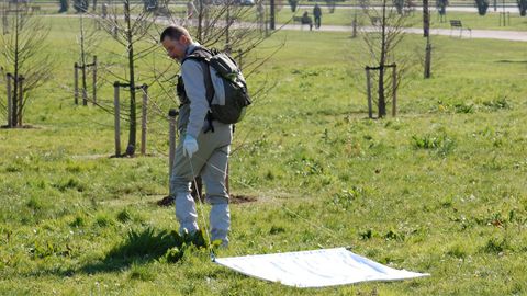 Alberto Esp� haciendo una captura de garrapatas con el m�todo de arrastre de una tela (toalla de rizo) en el parque de Los Pericones de Gij�n