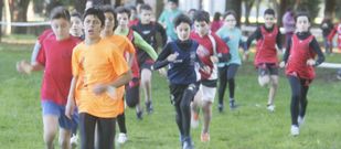 Varios momentos de las carreras disputadas ayer en el parque viveirense Pernas Pen. 